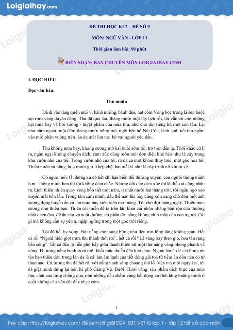 Đề thi học kì 2 Văn 11 - Đề số 9